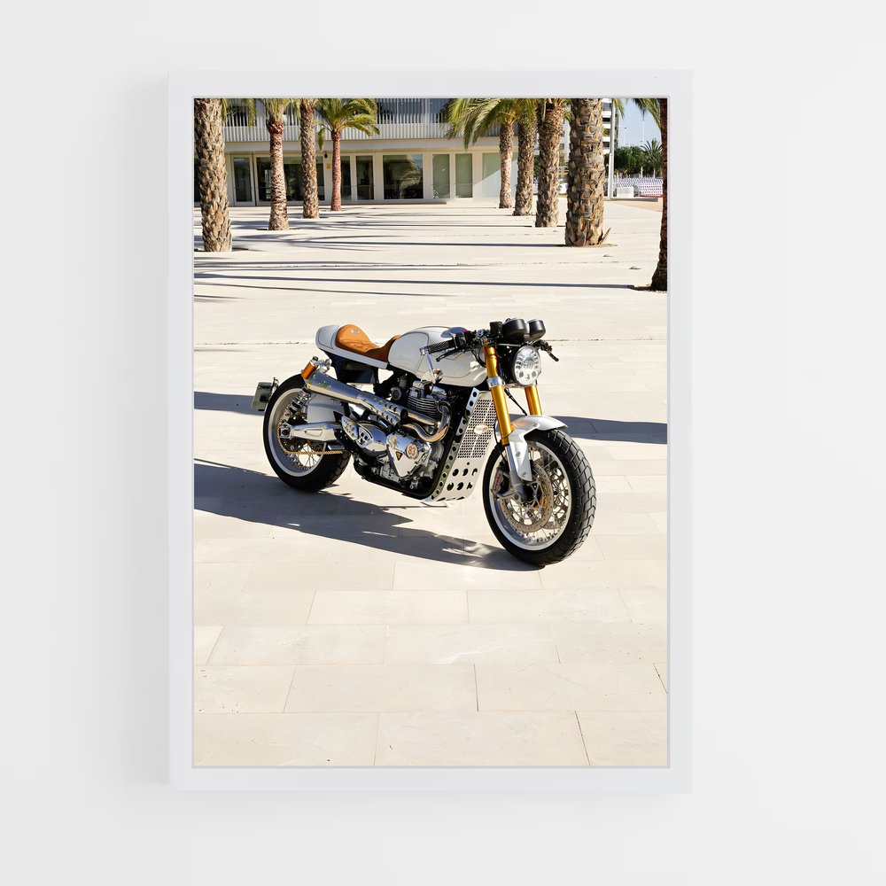 ap-thruxton-3 cadre Blanc