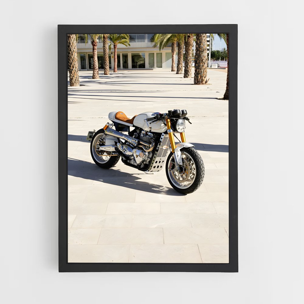 ap-thruxton-3 cadre Noir