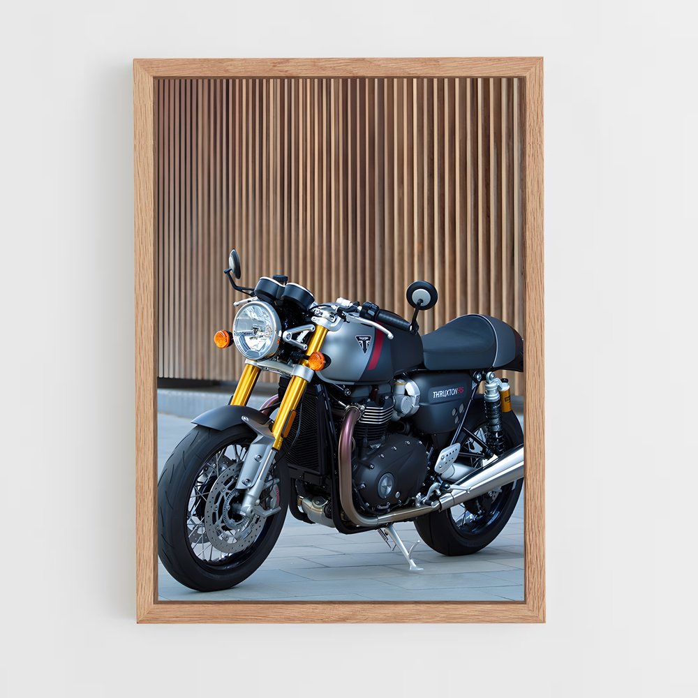 ap-thruxton rs-1 cadre Bois clair