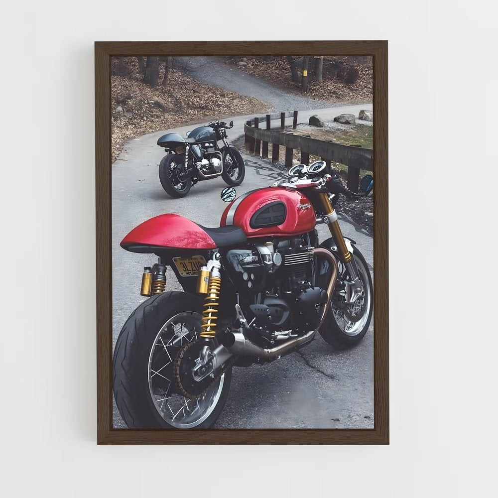 ap-thruxton rs-4 cadre Bois foncé