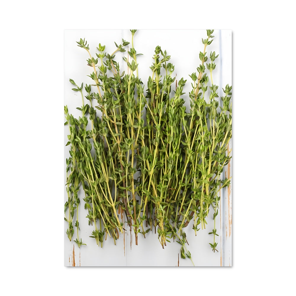 Poster Thyme is on Your Side