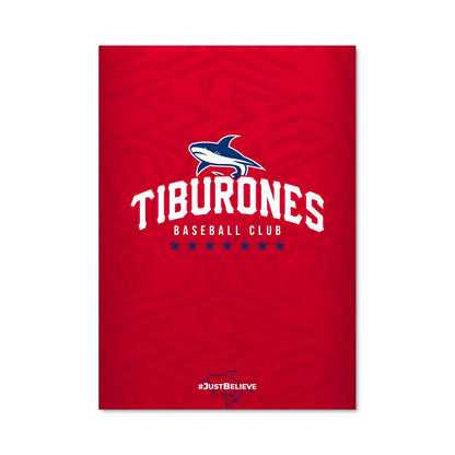 Poster Tiburones NFL