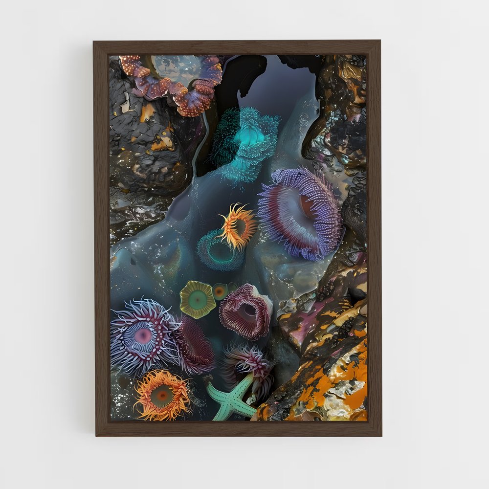 ap-tide pool-1 cadre Bois foncé