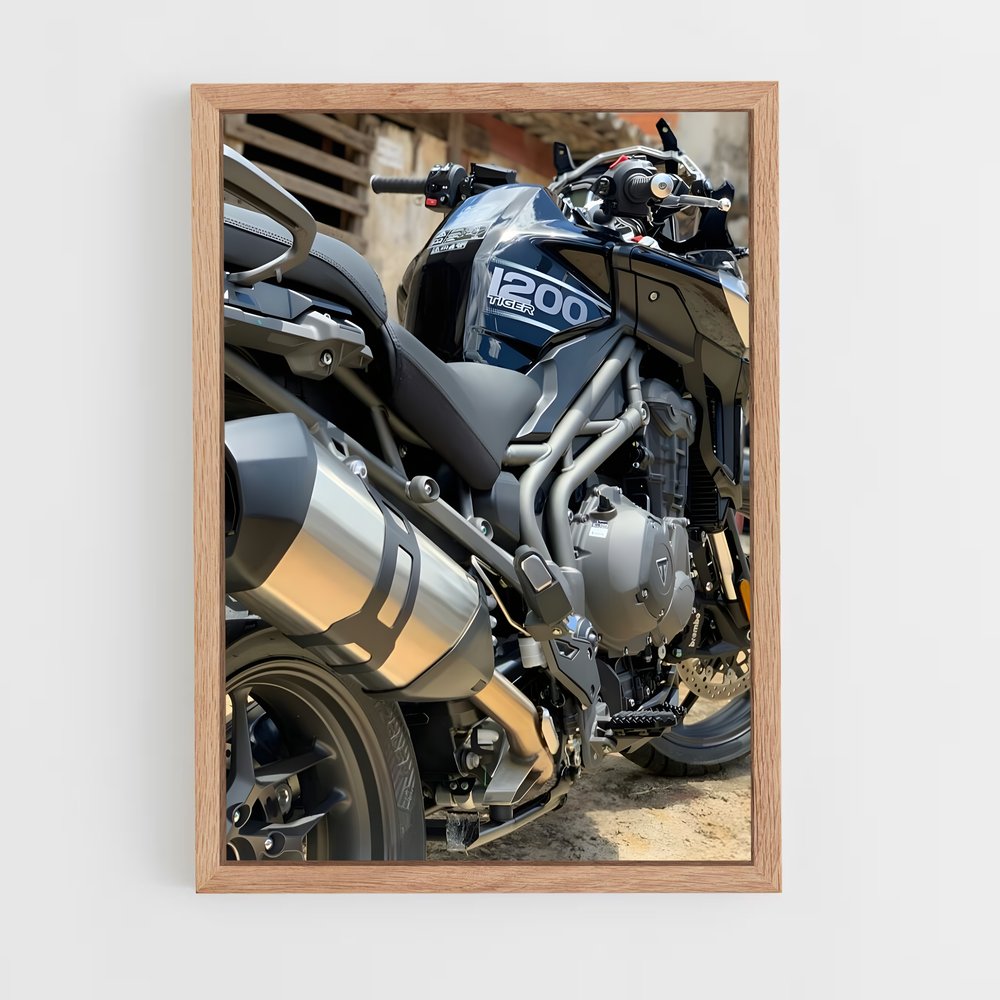 ap-tiger 1200-1 cadre Bois clair