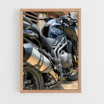 ap-tiger 1200-1 cadre Bois clair