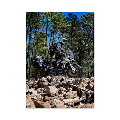 Poster Tiger 900 rally 82840