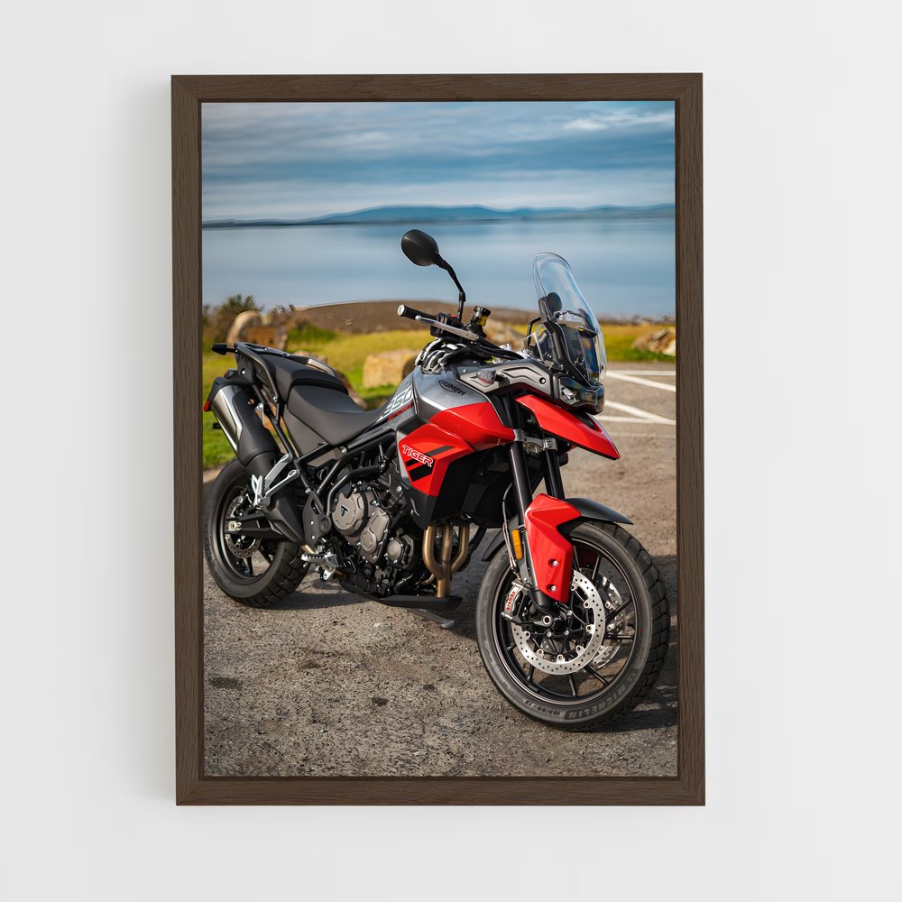 ap-tiger 900-2 cadre Bois foncé