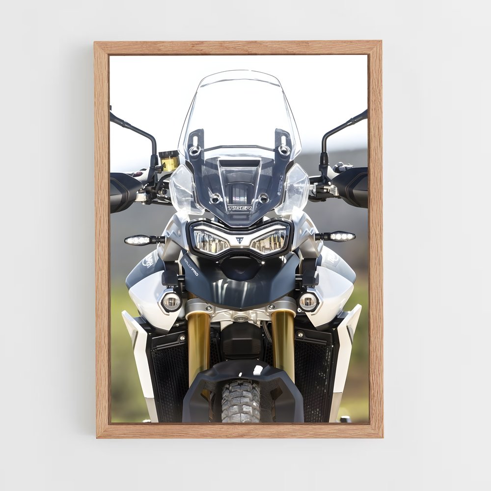 ap-tiger 900-3 cadre Bois clair