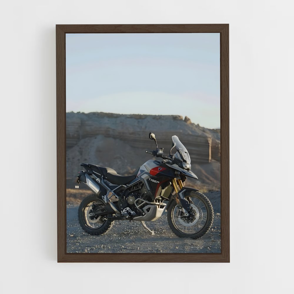 ap-tiger 900-4 cadre Bois foncé