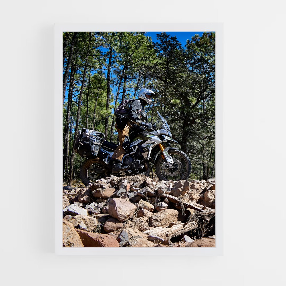 ap-tiger 900 rally-2 cadre Blanc
