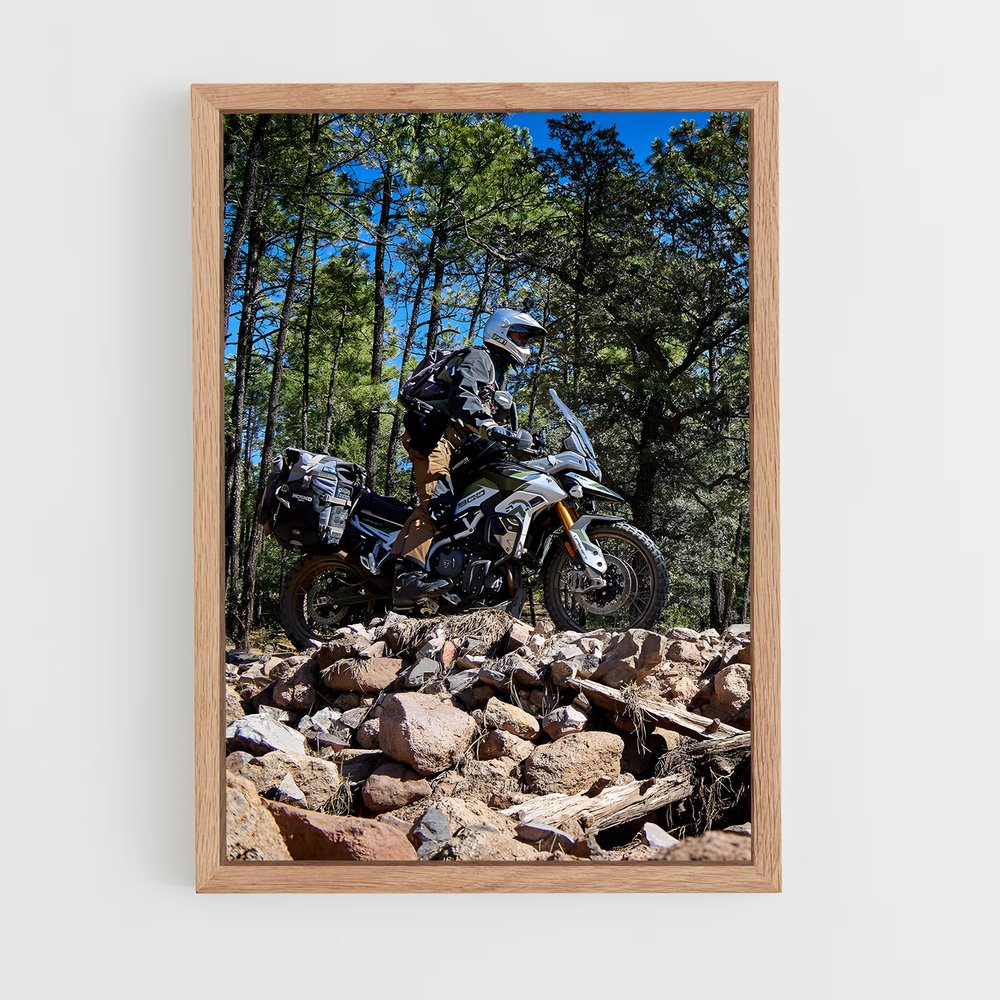 ap-tiger 900 rally-2 cadre Bois clair