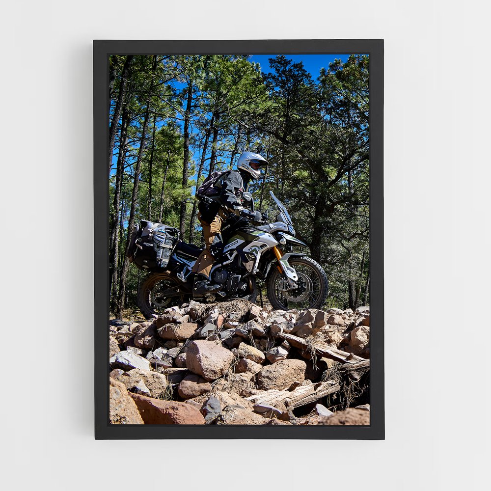 ap-tiger 900 rally-2 cadre Noir