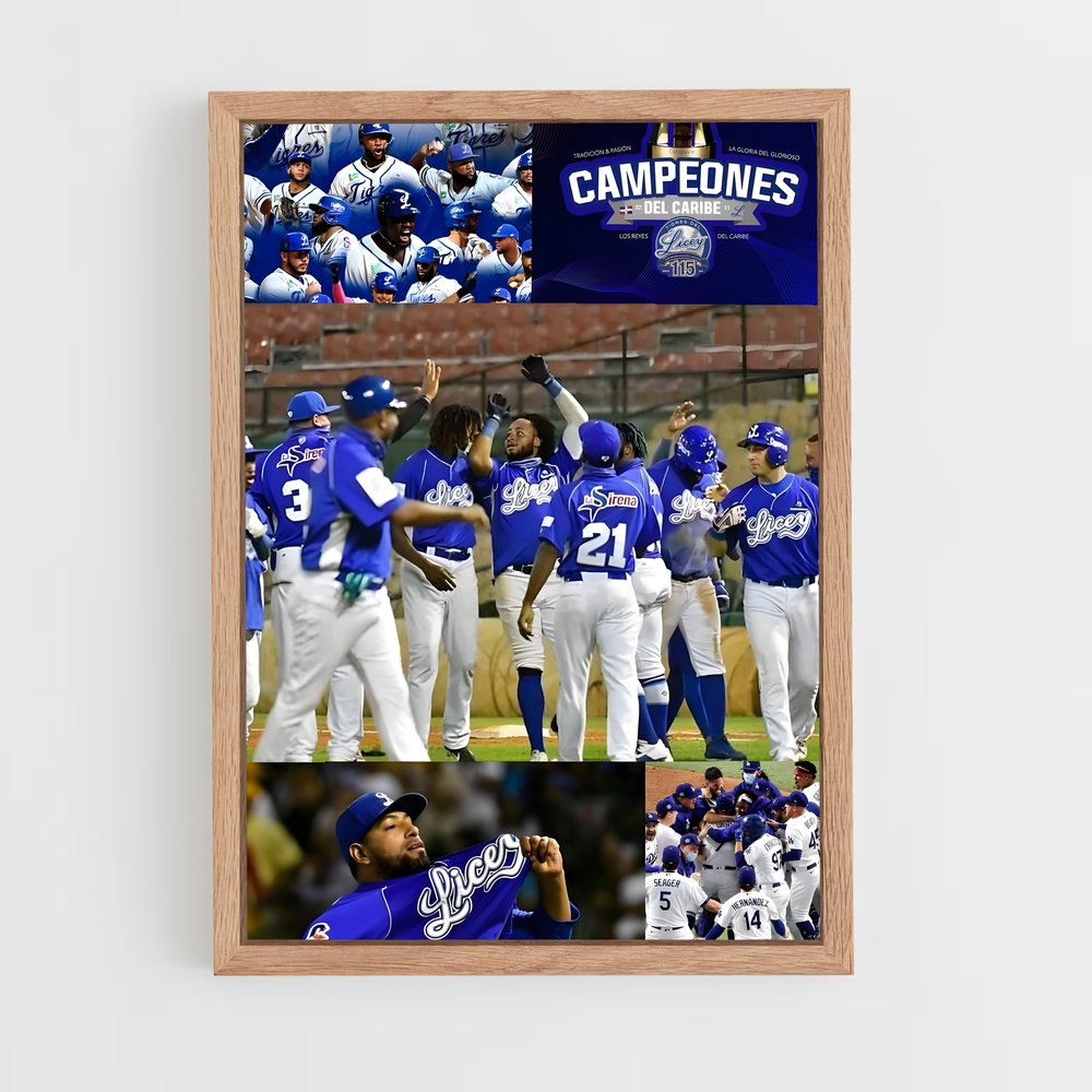 ap-tigres del licey-1 cadre Bois clair