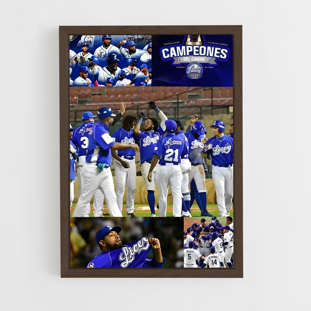 ap-tigres del licey-1 cadre Bois foncé