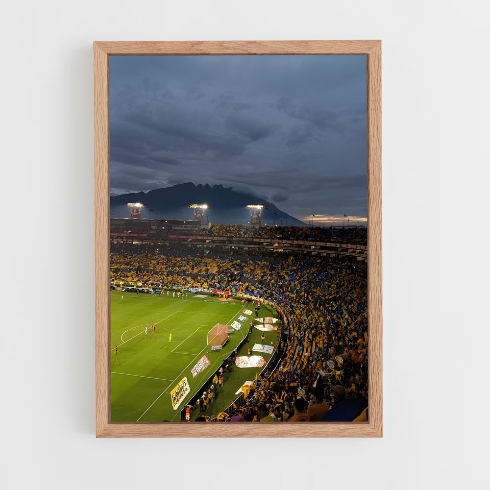 ap-tigres uanl-2 cadre Bois clair