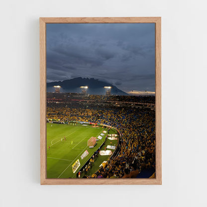 ap-tigres uanl-2 cadre Bois clair