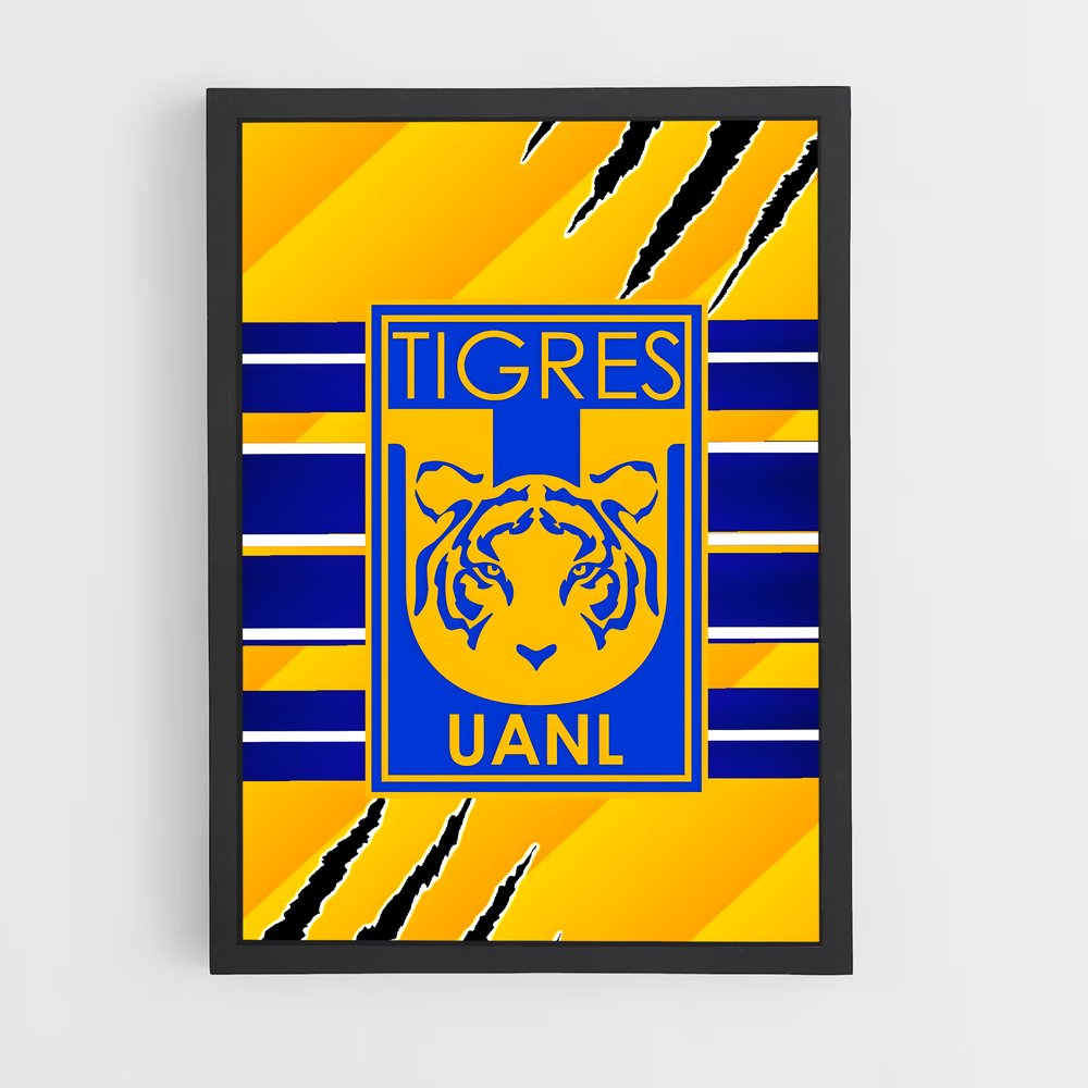ap-tigres uanl-7 cadre Noir