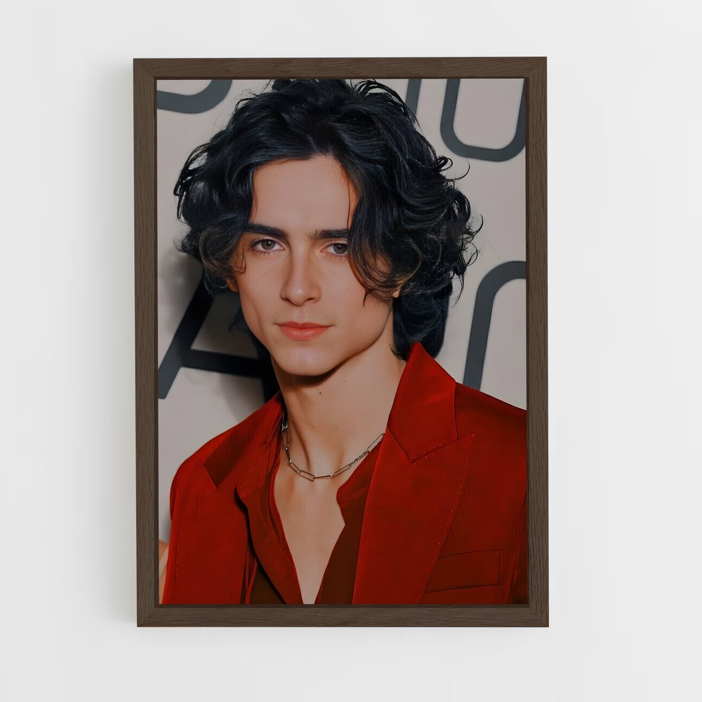 ap-timothee chalamet-9 cadre Bois foncé