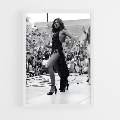 ap-tina turner-7 cadre Blanc