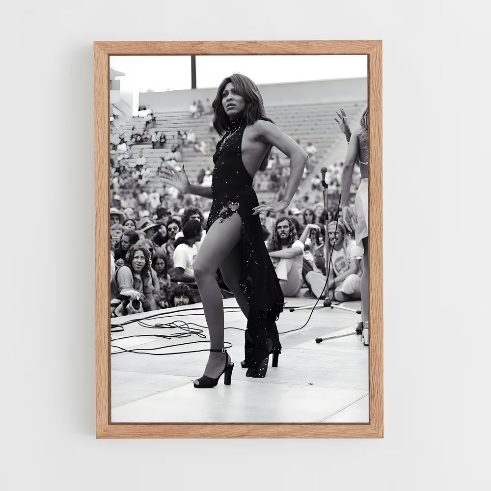 ap-tina turner-7 cadre Bois clair