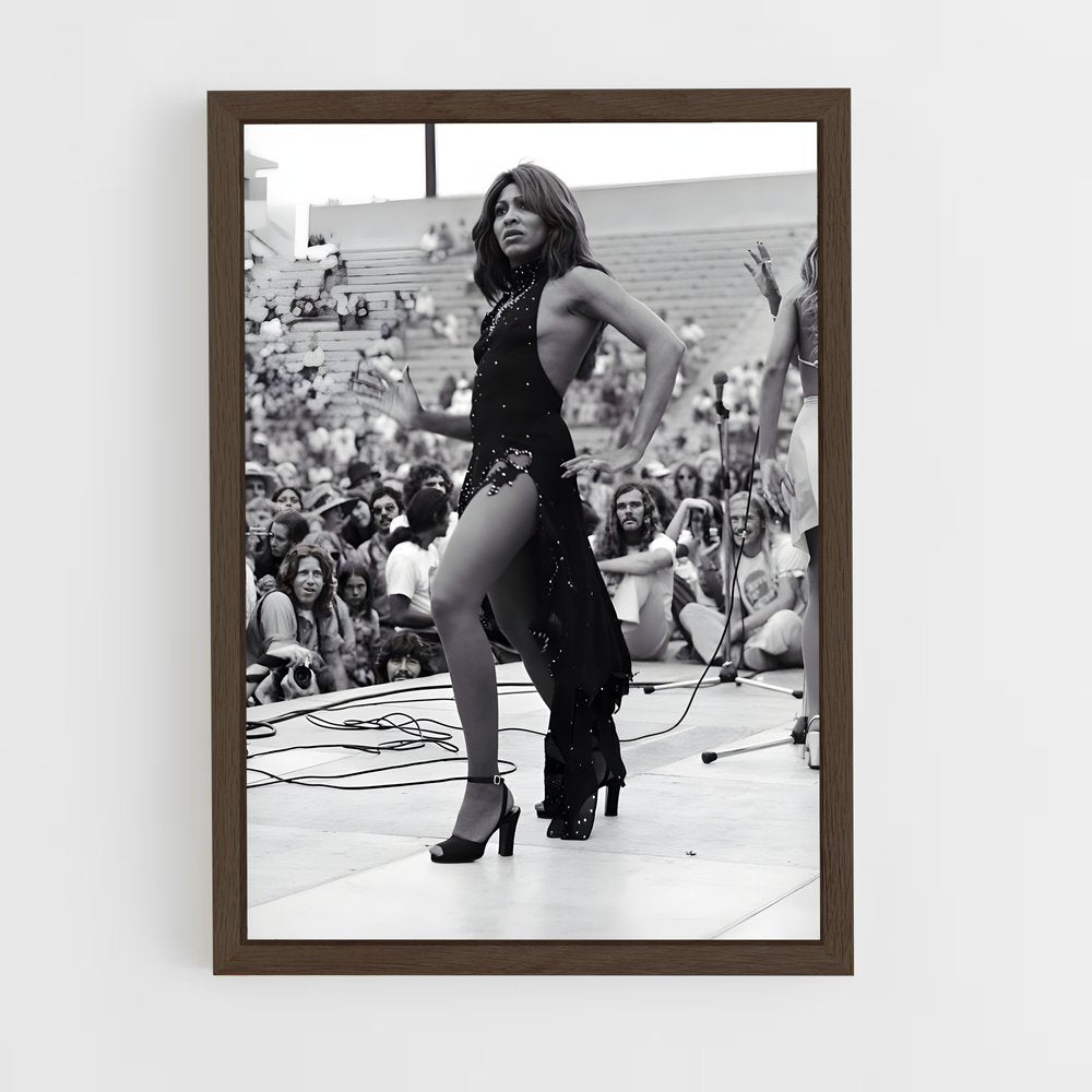 ap-tina turner-7 cadre Bois foncé