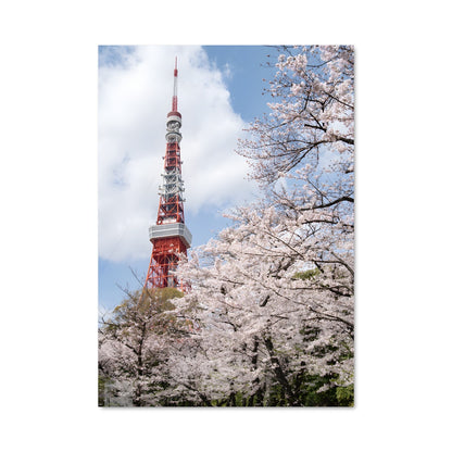 Poster Sakura au Sommet