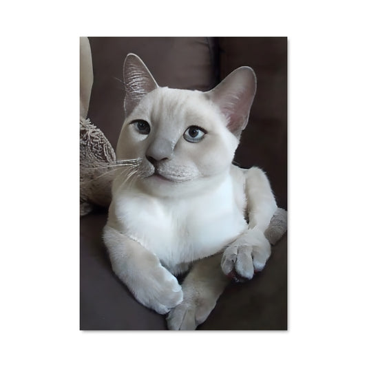 Poster Tonkinese 84788