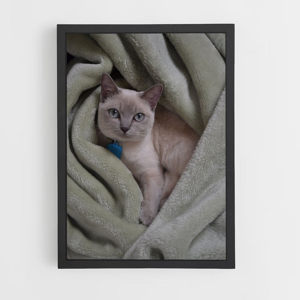 ap-tonkinese-2 cadre Noir