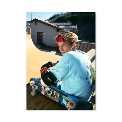 Poster Tony hawk 68155