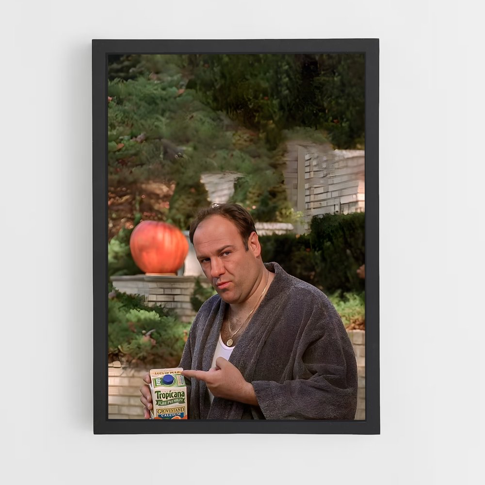 ap-tony soprano-3 cadre Noir