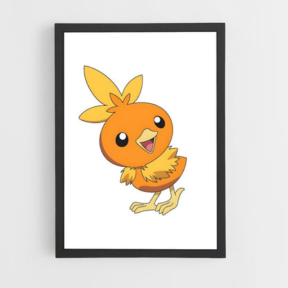 ap-torchic-4 cadre Noir