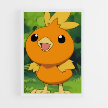 ap-torchic-5 cadre Blanc
