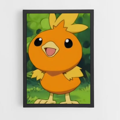 ap-torchic-5 cadre Noir