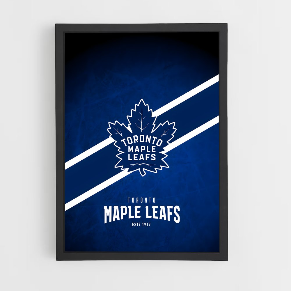 ap-toronto maple leafs-6 cadre Noir