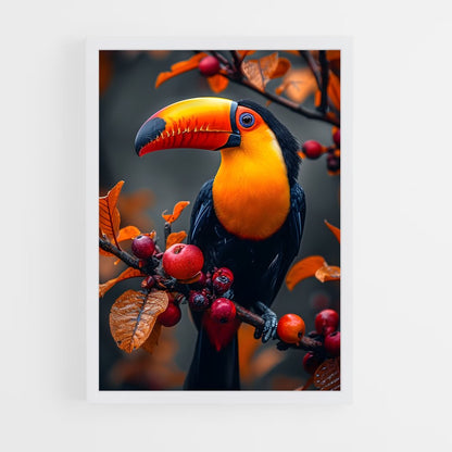 ap-toucan-10 cadre Blanc