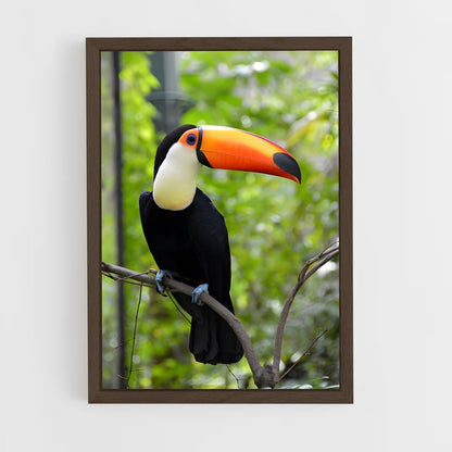 ap-toucan-2 cadre Bois foncé