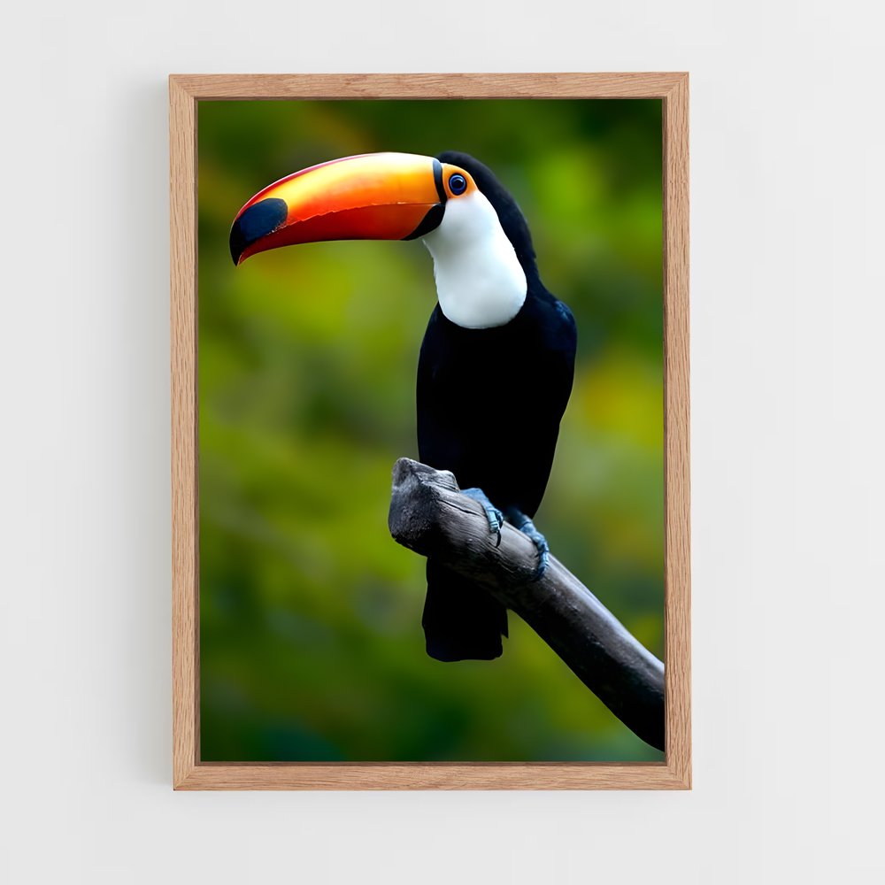 ap-toucan-4 cadre Bois clair