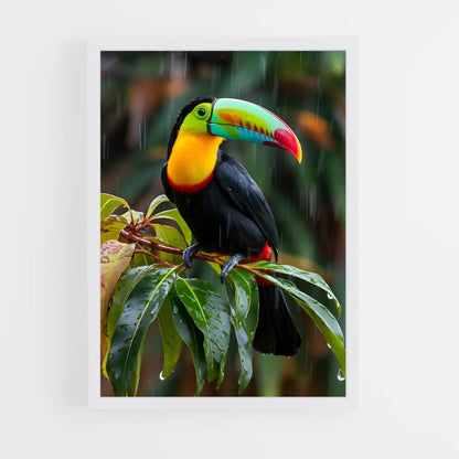 ap-toucan-5 cadre Blanc