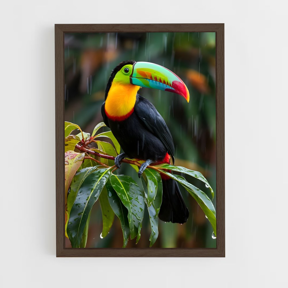 ap-toucan-5 cadre Bois foncé