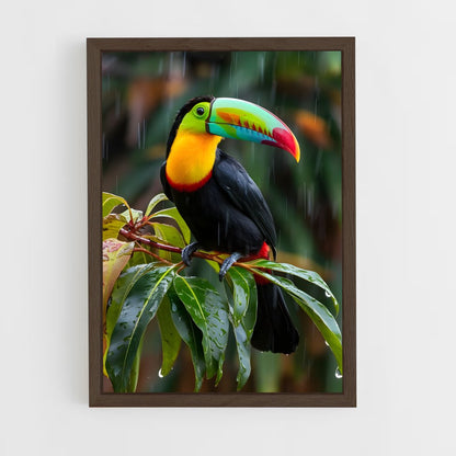 ap-toucan-5 cadre Bois foncé