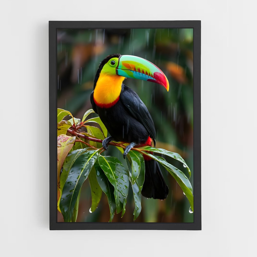 ap-toucan-5 cadre Noir
