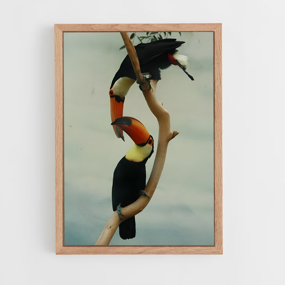ap-toucan-6 cadre Bois clair