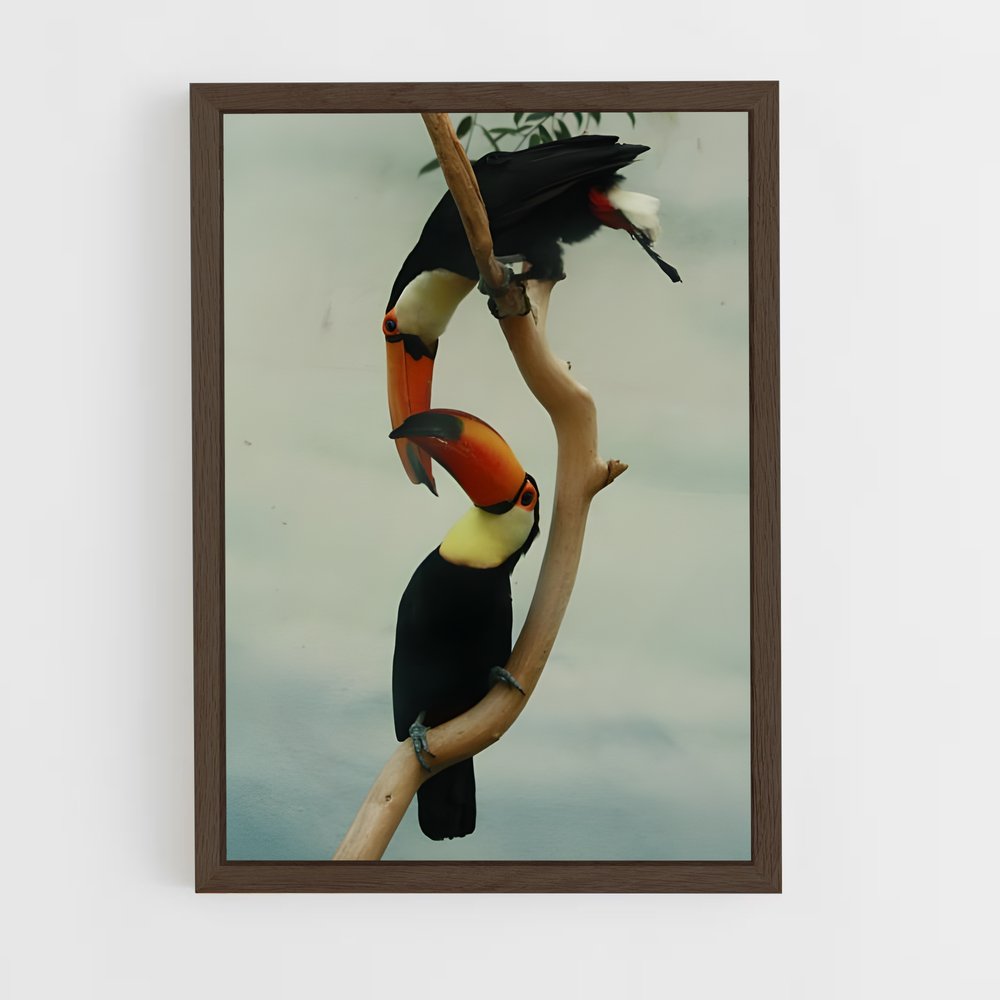 ap-toucan-6 cadre Bois foncé