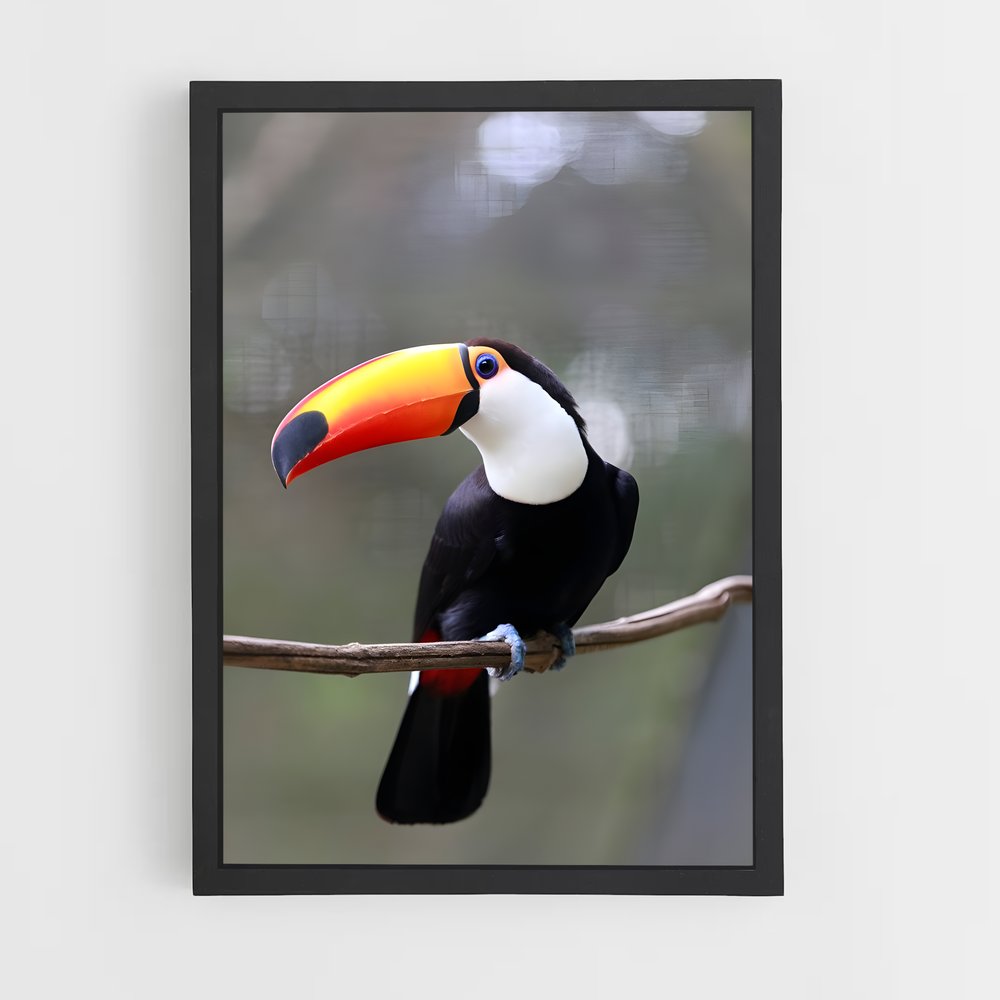 ap-toucan-9 cadre Noir