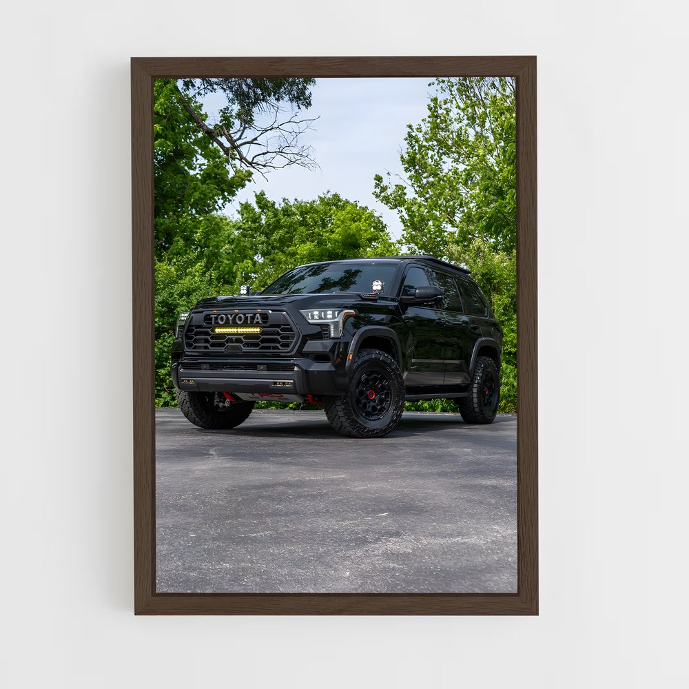 ap-toyota-1 cadre Bois foncé