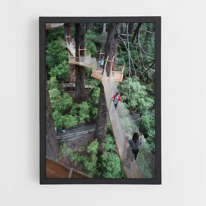 ap-tree canopy-8 cadre Noir