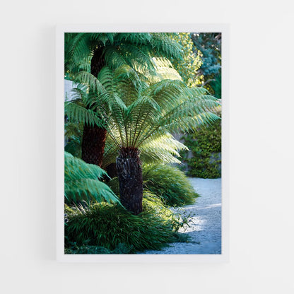 ap-tree fern-1 cadre Blanc