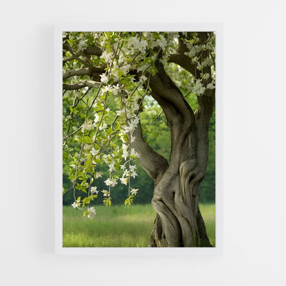 ap-trees-10 cadre Blanc