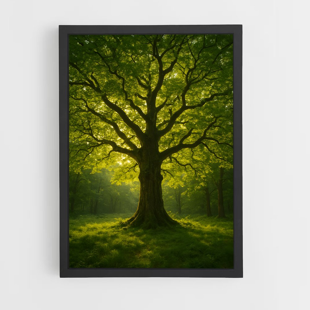 ap-trees-12 cadre Noir