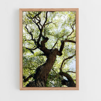 ap-trees-4 cadre Bois clair